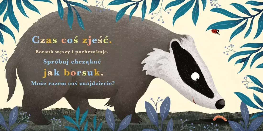 rok-w-lesie-borsuk-stan-nowy