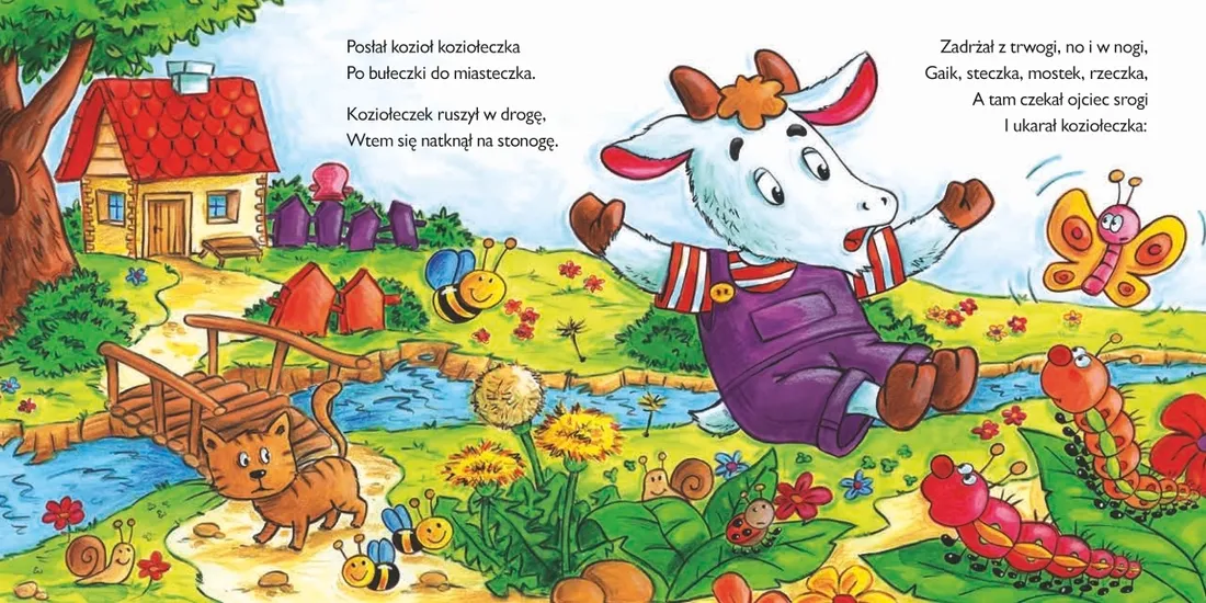 kozioleczek-stan-nowy