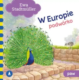 w-europie-podworko-paw