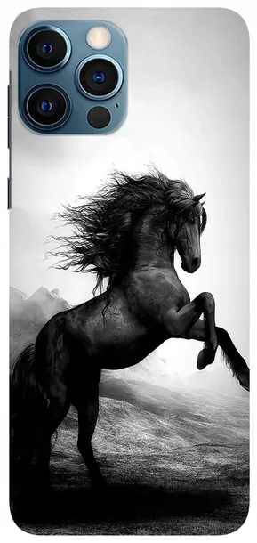 etui-case-do-apple-iphone-12-pro-max-konie
