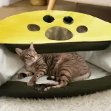 trojkatny-tunel-dla-kota-stan-nowy