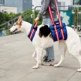 szelki-wspierajace-dla-psa-m