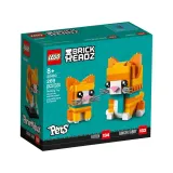 pregowany-rudy-kot-40480