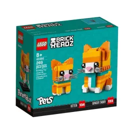 pregowany-rudy-kot-40480