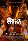 wilcze-stado-dvd-stan-nowy