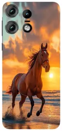 etui-case-do-motorola-edge-50-pro-pieski-konie-horse