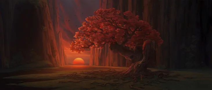 duza-ryba-i-begonia-dvd-stan-nowy