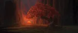 duza-ryba-i-begonia-dvd-stan-nowy