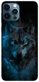 etui-case-do-apple-iphone-12-pro-max-dzikie-bestie-pajaki