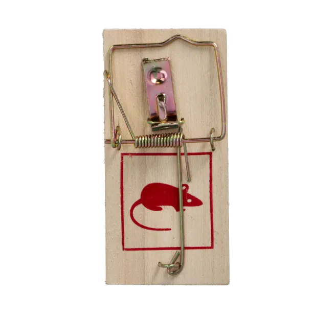 faster-tools-lapka-na-myszy-marka-faster-tools