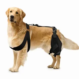 stabilizator-kolana-dla-psa-m