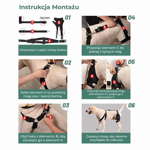 stabilizator-kolana-dla-psa-m-marka-bez-marki-stan-nowy