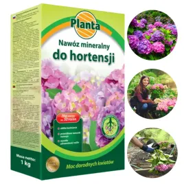 granulowany-nawoz-planta-pod-hortensje-1kg-mineralny-do-hortensji