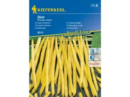 fasola-szparagowa-zolta-dior-nasiona-kiepenkerl