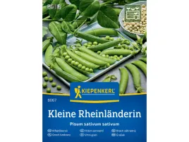 groch-luskowy-nasiona-kleine-rheinlanderin-nasiona-grochu-kiepenkerl