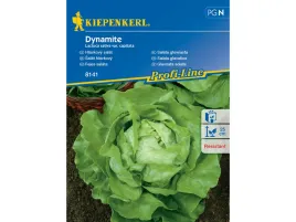 salata-glowiasta-dynamite-nasiona-kiepenkerl-odporna