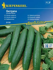 ogorek-salatkowy-gergana-nasiona-ogorka-kiepenkerl