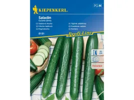 ogorek-salatkowy-zielony-saladin-nasiona-ogorka-kiepenkerl