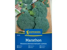 brokul-marathon-f1-nasiona-brokula-kiepenkerl
