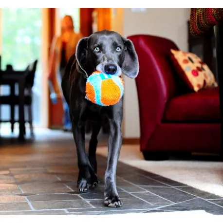 pet-supplies-indoor-ball-rodzaj-pilki