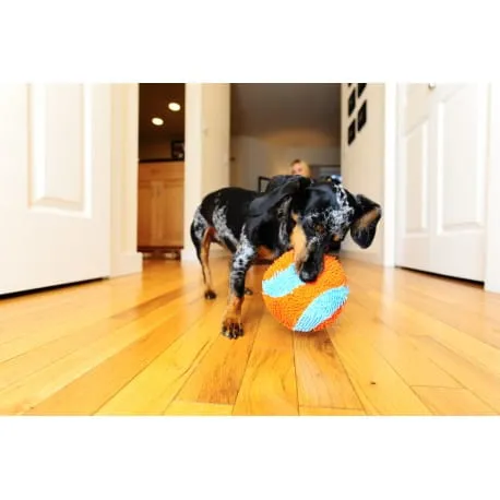 pet-supplies-indoor-ball-stan-nowy-rodzaj-pilki