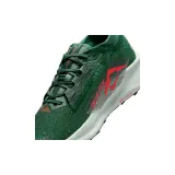 pegasus-trail-5-gtx-marka-nike-rozmiar-43