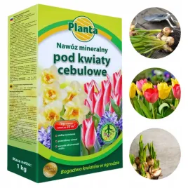 nawoz-mineralny-1kg-planta-do-kwiatow-cebulowych-tulipany-krokusy-hiacynt