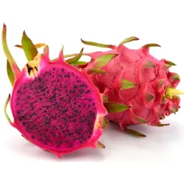 kaktus-czerwona-pitaja-red-smczy-owoc-hylocereus-costaricensis-nasiona