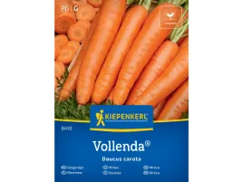 marchew-vollenda-bardzo-plenna-nasiona-marchewki-kiepenkerl