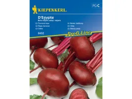 burak-cwiklowy-d-egypte-wczesna-odmiana-nasiona-burakow-kiepenkerl