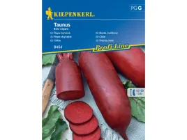 burak-cwiklowy-taunus-pozna-odmiana-podluzny-nasiona-kiepenkerl