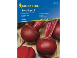 burak-cwiklowy-rote-kugel-2-okragly-nasiona-buraka-kiepenkerl
