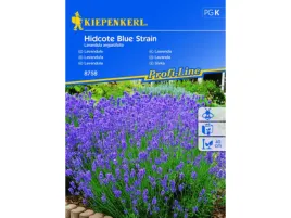 lawenda-waskolistna-hidcote-blue-strain-nasiona-lawendy-kiepenkerl
