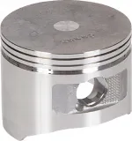 tlok-standard-13101zh8020