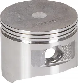 tlok-standard-13101zh8020