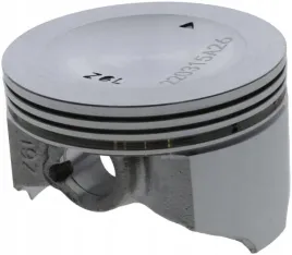 tlok-silnika-13101z6l020