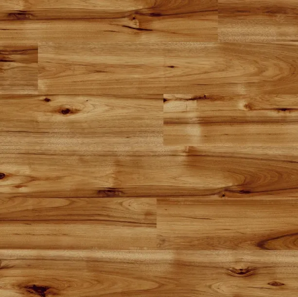 Panele podłogowe laminowane Hikora Bravo 80070 HG - WYSOKI POŁYSK KAINDL
