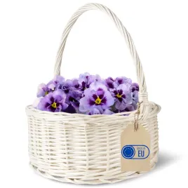 koszyk-wielkanocny-bialy-dla-dziecka-wiklinowy-z-raczka-wielkanoc-kosz-30cm