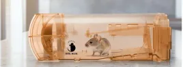 pulapka-motel-mouse-przeciwko-myszom-i-szczurom-humanitarna