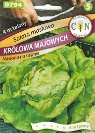 salata-krolowa-majowych-nasiona-na-tasmie-pyszna-i-plenna-maslowa-glowias