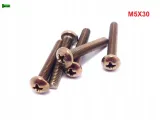 m5x30-sruba-philips-tytanowa-grade-2