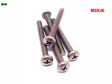 m5x45-sruba-philips-tytanowa-grade-2