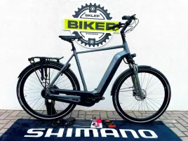 rower-e-bike-multicycle-voyage-emi-rama-xl-shimano-steps-di2-nexus-8s