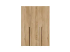 szafa-3d-drzwi-uchylne-gold-baroque