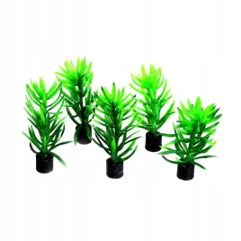 hobby-sztuczna-roslina-akwariowa-didiplis-mini-ss-51544