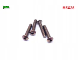m5x25-sruba-tytanowa-z-lbem-kulistym-imbusowa-iso-7380-tytan-grade-2