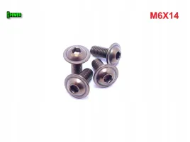 m6x14-sruba-tytanowa-z-lbem-kulistym-imbusowa-iso-7380-2-tytan-grade-2