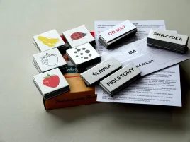 zestaw-dydaktyczny-co-ma-jaki-ma-kolor-arson