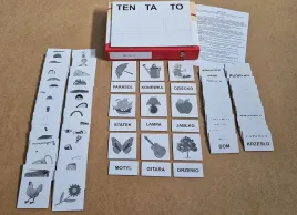 zestaw-dydaktyczny-ten-ta-to-arson