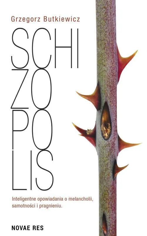 schizopolis-grzegorz-butkiewicz
